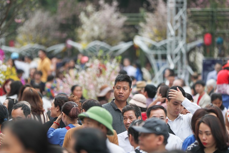 Người dân nô nức thưởng lãm hoa anh đào Nhật Bản nở rộ bên hồ Hoàn Kiếm ảnh 11