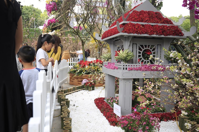 Những hình ảnh ấn tượng trong ngày đầu Lễ hội hoa anh đào Nhật Bản - Hà Nội 2019 ảnh 7