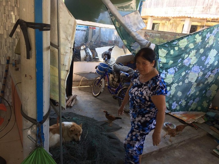 Vụ chó cắn 6 học sinh: Chó không được tiêm phòng dại ảnh 1