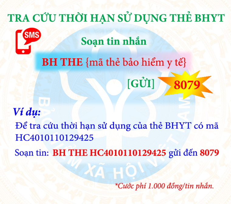 Người dân có thể tra cứu quá trình đóng, hưởng BHXH, BHYT qua dịch vụ tin nhắn ảnh 1