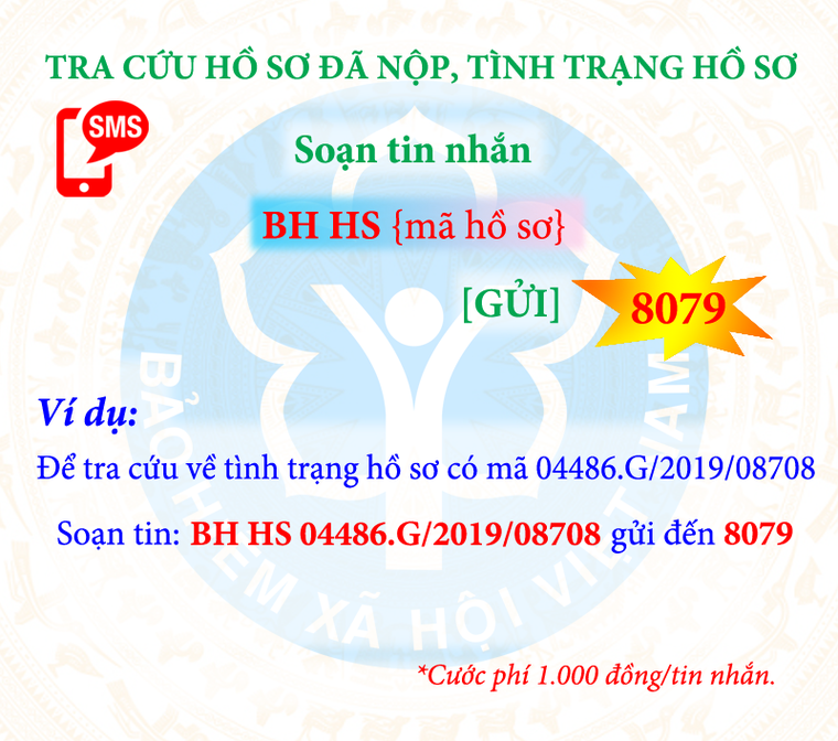 Người dân có thể tra cứu quá trình đóng, hưởng BHXH, BHYT qua dịch vụ tin nhắn ảnh 2