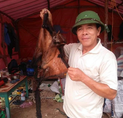 Vụ “khoe” ảnh giết thịt chồn bay lên Facebook: Đã xác định được người đăng tải ảnh 1