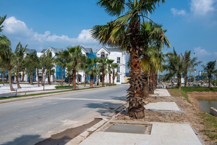 'Choáng' trước tiến độ 'thần tốc' tại dự án Vinhomes Ocean Park ảnh 9