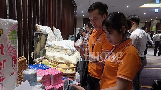Thúc đẩy xuất khẩu sản phẩm Việt Nam sang Nhật Bản ảnh 1