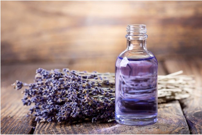 Đi Nhật Bản mùa hoa lavender nở: Những cánh đồng sắc màu ảnh 1