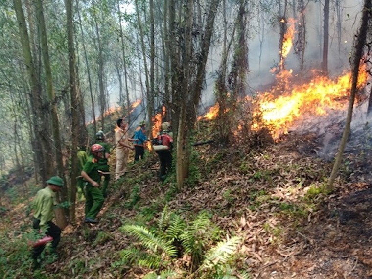 Trắng đêm cật lực dập lửa cứu rừng Hà Tĩnh ảnh 2