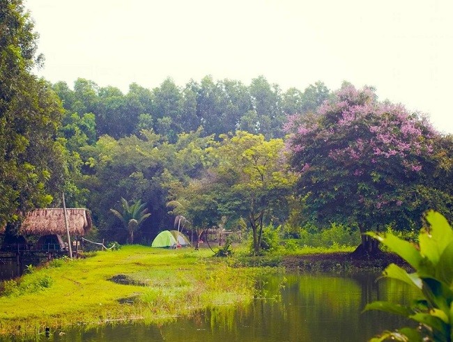 Bốn địa điểm du lịch quanh TP Hồ Chí Minh không thể bỏ qua dịp nghỉ lễ 2/9 ảnh 1