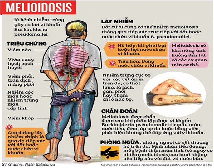 'Sát thủ thầm lặng' whitmore xuất hiện tại Thái Nguyên ảnh 1