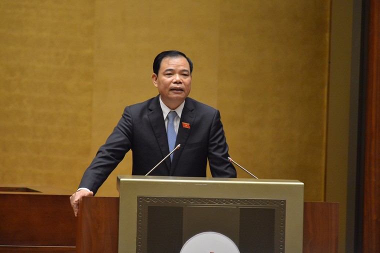 Nông nghiệp vẫn còn thiếu các “hạt nhân” phát triển kinh tế ảnh 1