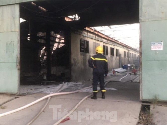 Cháy lớn ở công ty gỗ rộng 2.000m2 tại Bình Dương ảnh 1