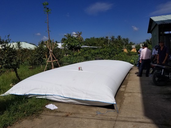 Hạn mặn hoành hành ĐBSCL ảnh 1