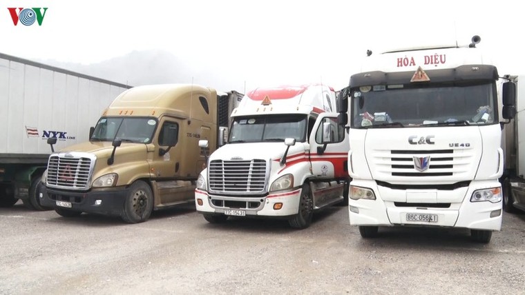 Xuất khẩu nông sản trước việc lùi thời gian thông quan do dịch nCoV ảnh 1