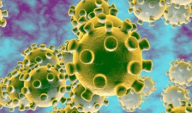 Khuyến cáo về COVID-19 trong nhãn khoa ảnh 1