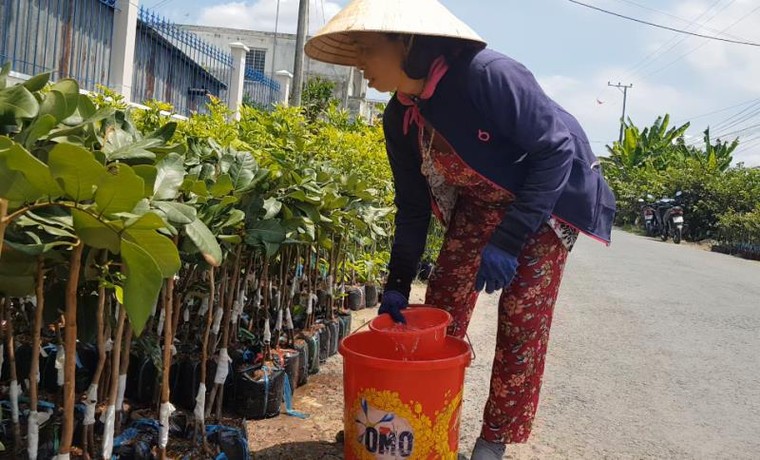 5 tỉnh miền Tây công bố tình huống khẩn cấp về hạn, mặn ảnh 1