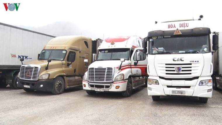 Dịch Covid-19 vừa là thách thức vừa là cơ hội cho ngành nông nghiệp ảnh 1