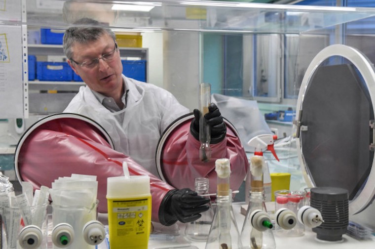 Vaccine phòng lao BCG - Hy vọng mới trong cuộc chiến chống COVID-19 tại nhiều nước? ảnh 2