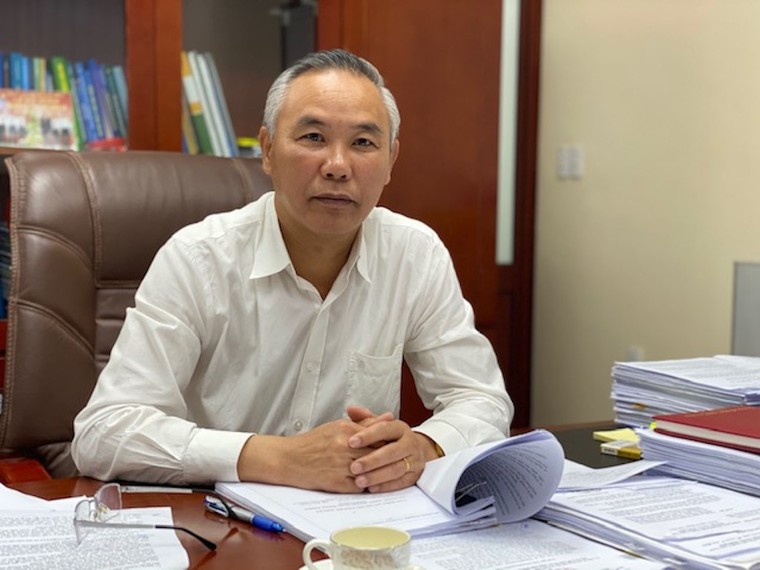 Cuối năm nay, cung - cầu thịt lợn trong nước sẽ cân bằng ảnh 1