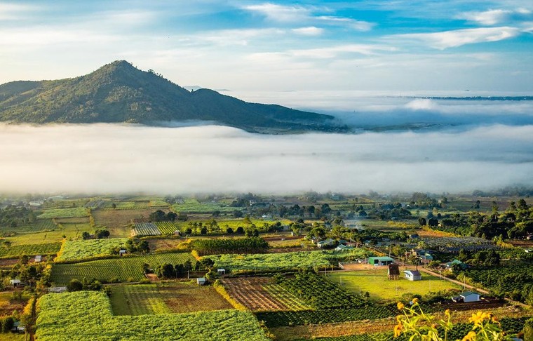 Làn sóng ‘bỏ phố về rừng’, theo chân ông lớn lên Tây Nguyên săn đất ảnh 1