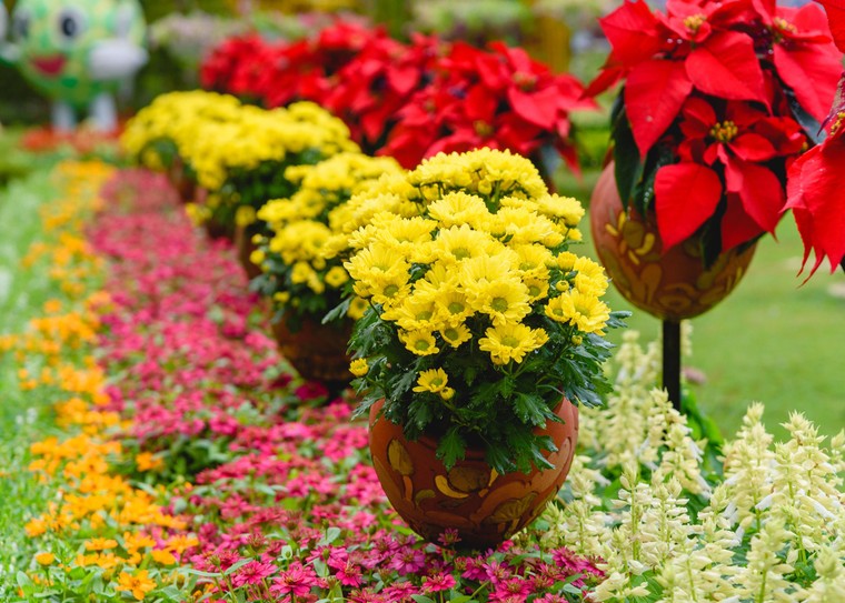 Đầu năm mới chiêm bái khu trưng bày nghệ thuật Phật giáo mới ra mắt tại núi Bà Tây Ninh ảnh 2