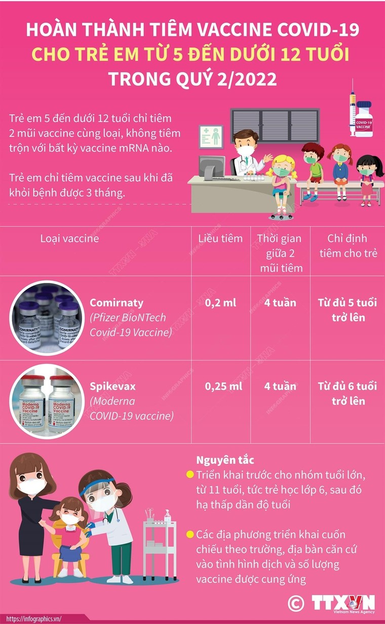 Hoàn thành tiêm vaccine COVID-19 cho trẻ em từ 5 đến dưới 12 tuổi trong quý 2/2022 ảnh 1