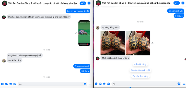 Nhức nhối vấn nạn mua bán, nuôi nhốt trái phép các loại rùa cạn quý hiếm ảnh 6