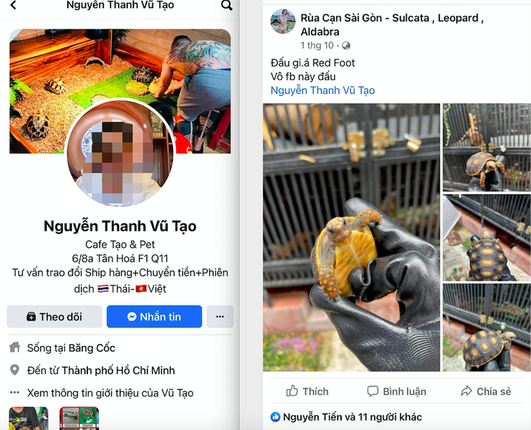 Nhức nhối vấn nạn mua bán, nuôi nhốt trái phép các loại rùa cạn quý hiếm ảnh 9