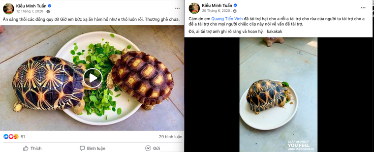 Khi người nổi tiếng cổ suý trào lưu nuôi nhốt rùa quý hiếm ảnh 3