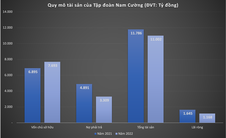 Tập đoàn Nam Cường dưới thời bà Trần Ngọc Quỳnh lãi nghìn tỷ dù thị trường lao dốc ảnh 1