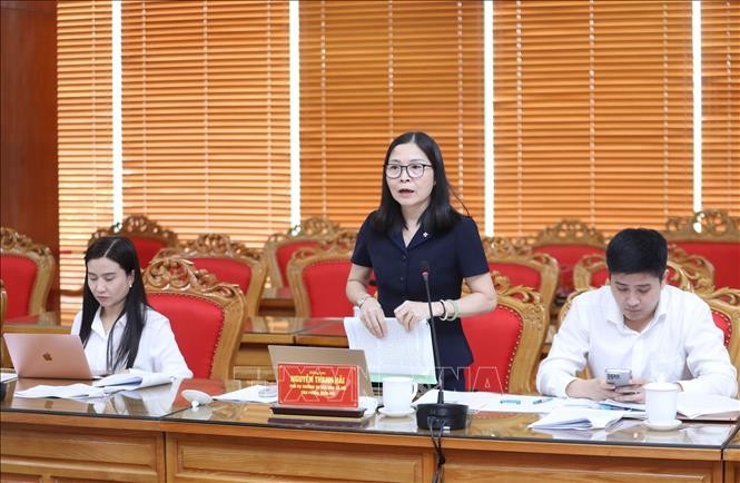 Phát huy vai trò của thanh niên trong phát triển kinh tế - xã hội và bảo vệ Tổ quốc ảnh 2