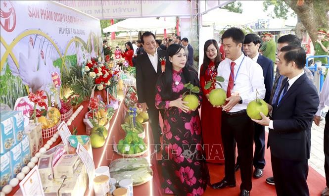 Vĩnh Phúc: Nhiều công trình văn hóa hoàn thành trong dịp Ngày hội Đại đoàn kết toàn dân tộc ảnh 2