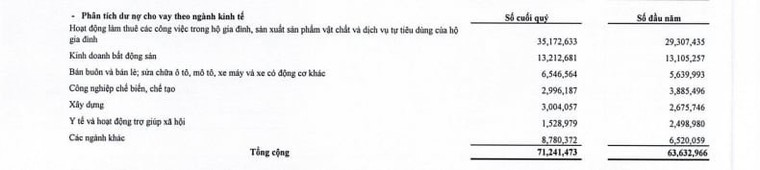 Kết quả kinh doanh nhiều sắc màu của VietBank ảnh 1