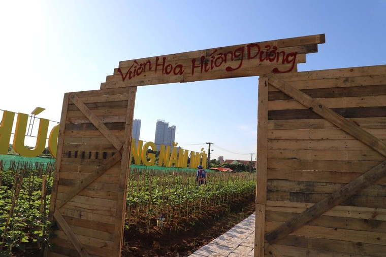 TP.HCM: Công viên bờ sông Sài Gòn sẽ phục vụ người dân dịp Tết Dương lịch 2024 ảnh 4