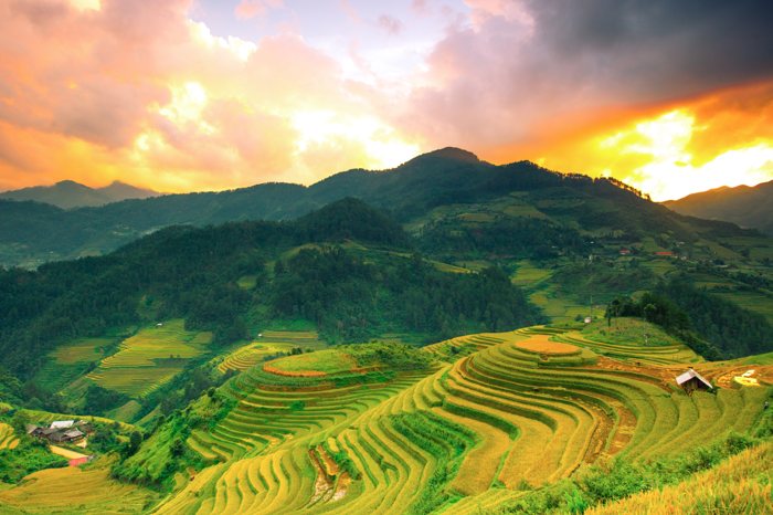 Đến Điện Biên tận hưởng vẻ đẹp nao lòng mùa hoa khoe sắc ảnh 2