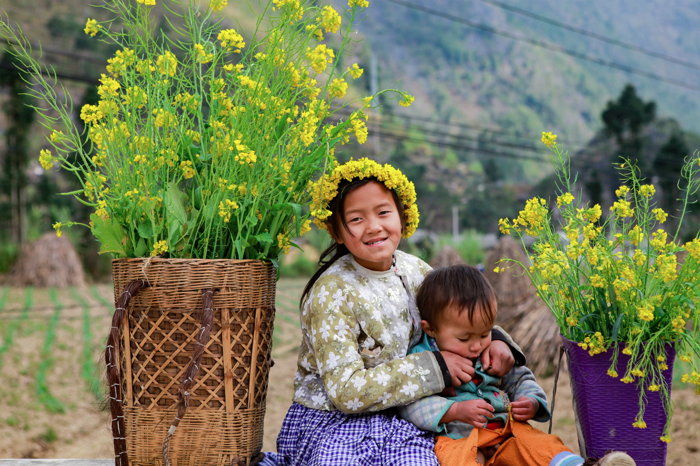 Đến Điện Biên tận hưởng vẻ đẹp nao lòng mùa hoa khoe sắc ảnh 3