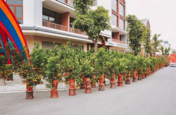 Khai màn “Chợ Tết Phố Hội” phía Đông Thủ đô ảnh 2