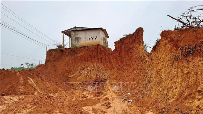 Quảng Trị: Phát hiện vụ đào lấy đất rừng sản xuất trái phép quy mô lớn ảnh 1