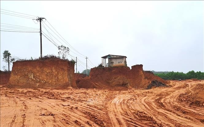 Quảng Trị: Phát hiện vụ đào lấy đất rừng sản xuất trái phép quy mô lớn ảnh 2