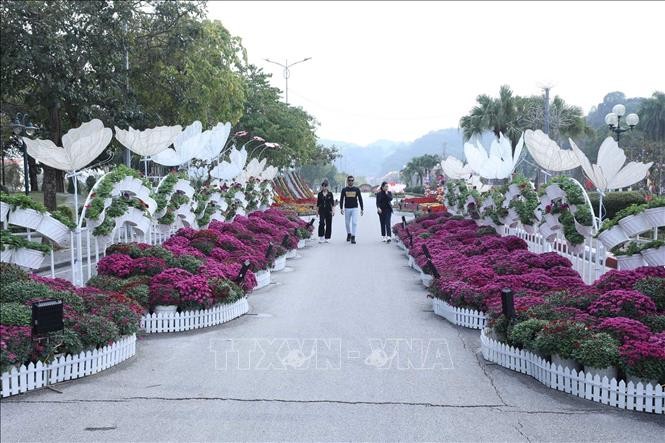 Lễ hội hoa đào Xứ Lạng - không gian văn hóa đặc sắc ảnh 1