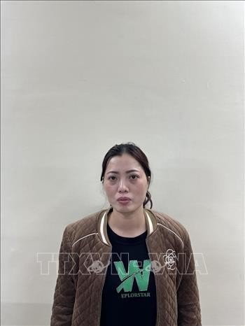 Khởi tố Chủ tịch HĐQT Công ty CP Tập đoàn Phúc Sơn và 5 bị can khác ảnh 1