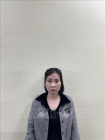 Khởi tố Chủ tịch HĐQT Công ty CP Tập đoàn Phúc Sơn và 5 bị can khác ảnh 2