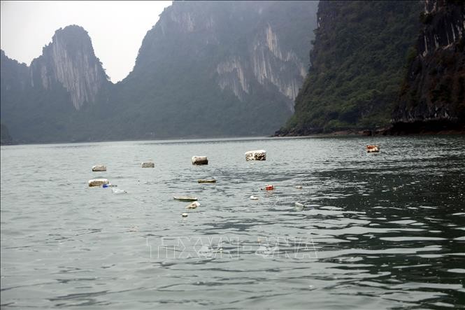 Thu gom rác thải, đảm bảo mỹ quan, môi trường trên Vịnh Hạ Long ​ ảnh 2