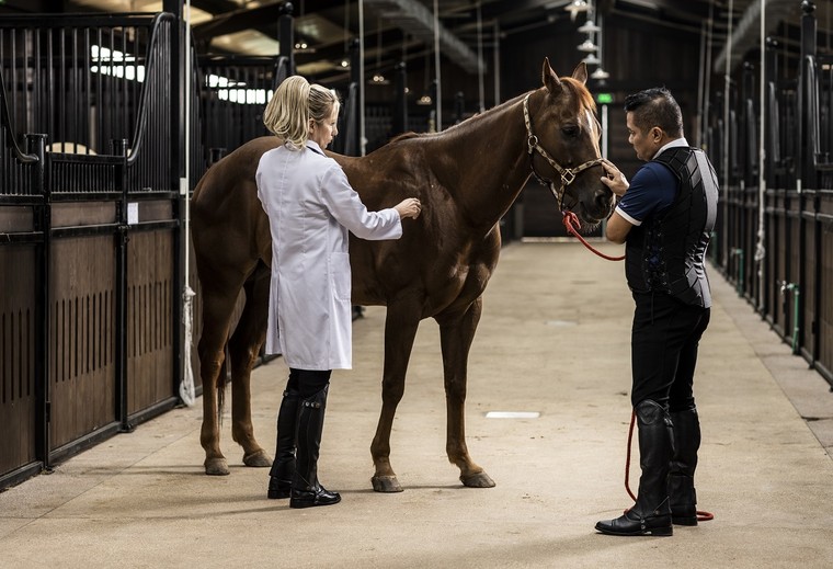 “Đột nhập” Học viện cưỡi ngựa Hoàng Gia đầu tiên và duy nhất tại Việt Nam ảnh 7