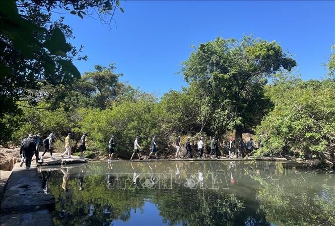 Ninh Thuận - Điểm đến du lịch lý tưởng trong mùa hè 2024 ảnh 1