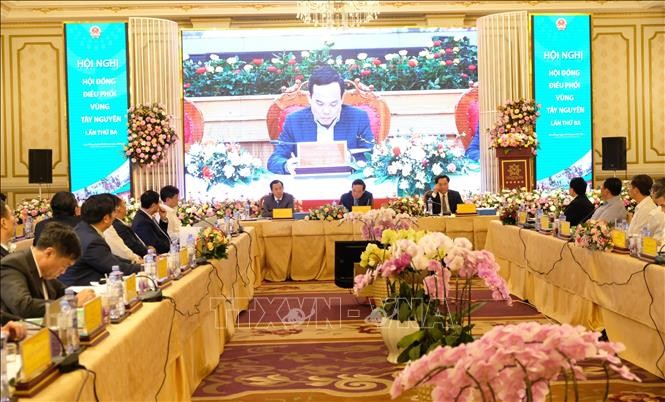 Phó Thủ tướng Trần Lưu Quang chủ trì hội nghị Hội đồng Điều phối vùng Tây Nguyên ảnh 1