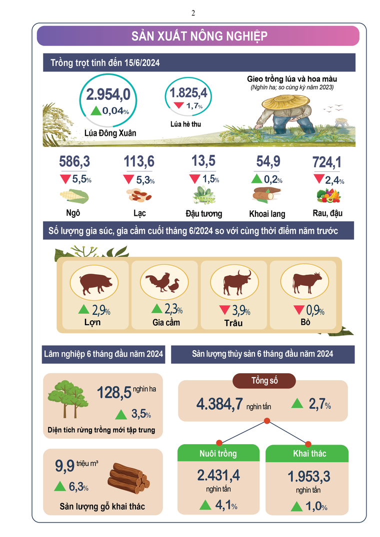 Infographic tình hình kinh tế-xã hội tháng 6 và sáu tháng đầu năm 2024 ảnh 2