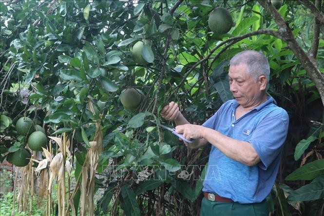 Lễ Quốc tang Tổng Bí thư Nguyễn Phú Trọng: Tưởng nhớ sự ra đi của người con ưu tú dân tộc ảnh 3