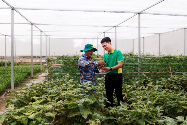 PVFCCo: Nhiều hoạt động thiết thực, ý nghĩa kỷ niệm ngày Thương binh Liệt sỹ ảnh 4