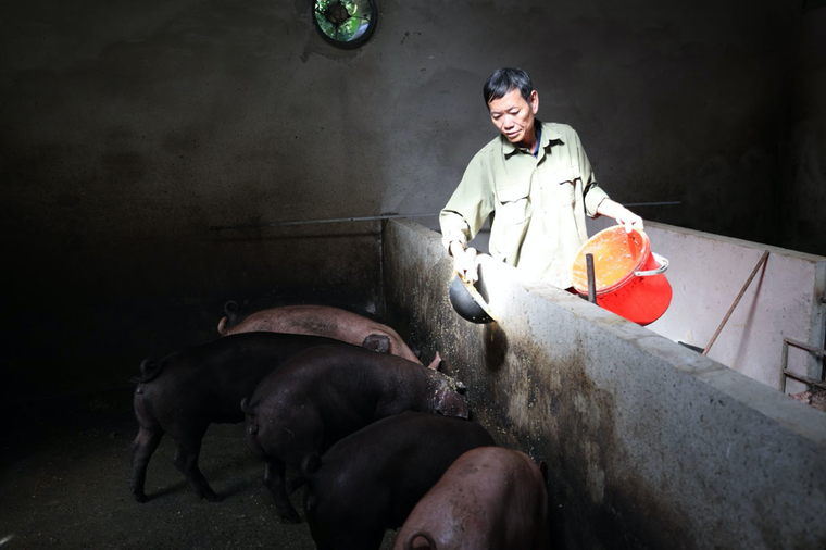 Đổi thay tích cực nhờ vốn vay không lãi suất cho phụ nữ có hoàn cảnh khó khăn tại Lào Cai ảnh 2