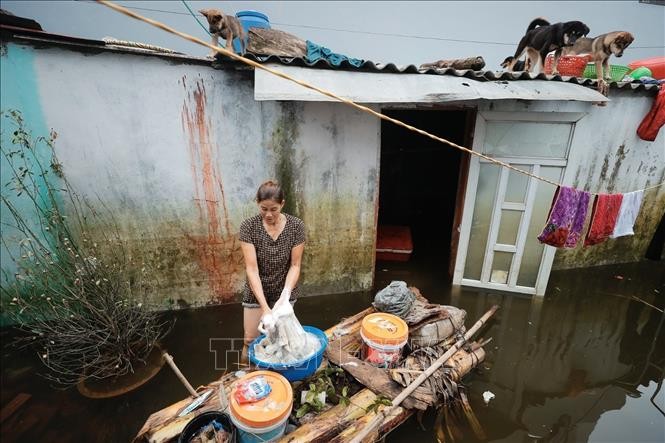 Ngăn chặn nguy cơ dịch bệnh bùng phát​ sau bão lũ ảnh 1