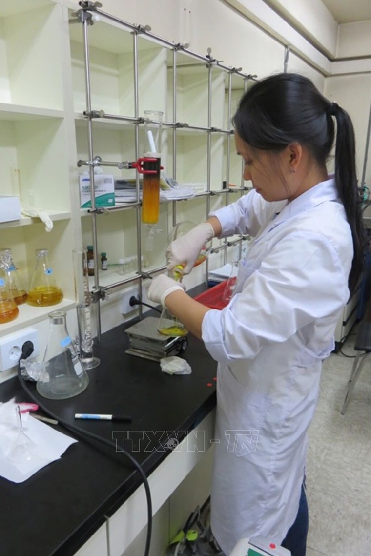 Triển vọng mới trong điều trị ung thư từ tài nguyên biển ảnh 1